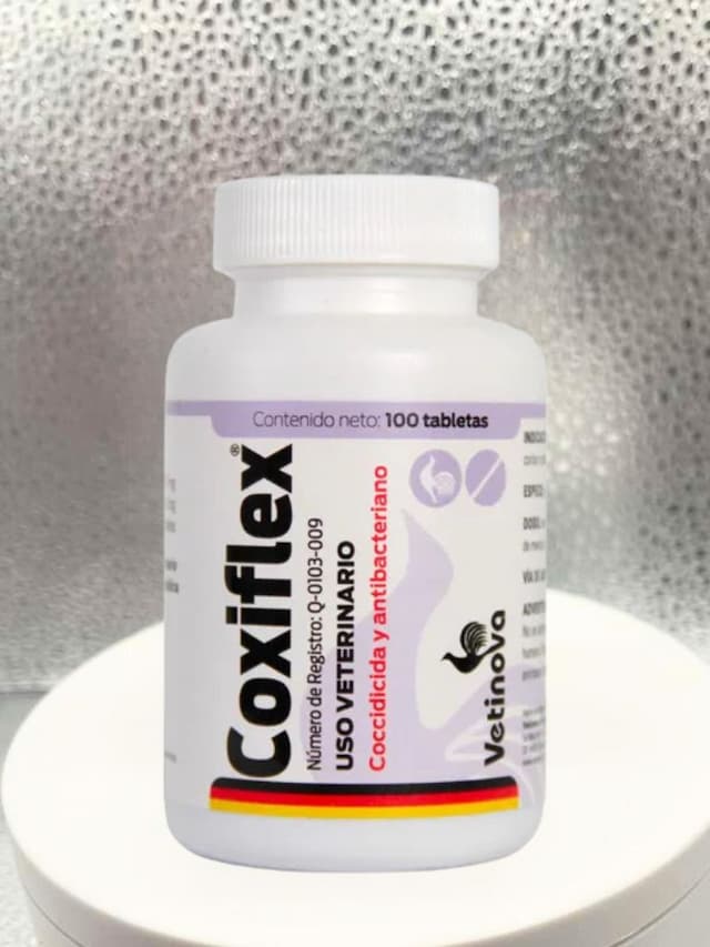 Coxiflex 100 tabletas