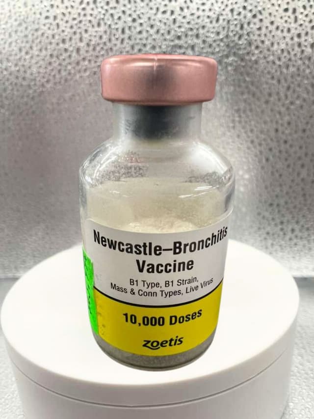 Newcastle-Bronchitis Vaccine 10000 Doses
