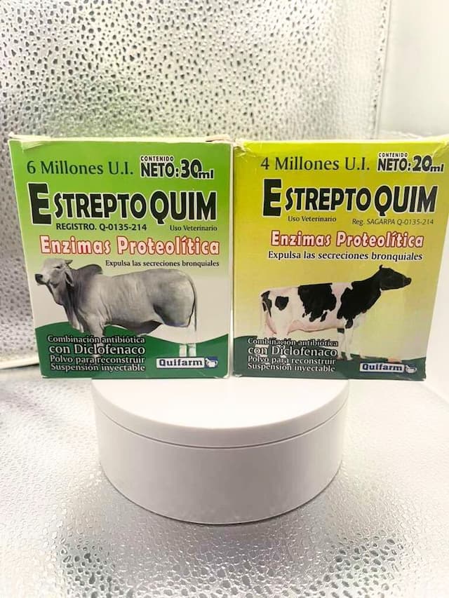 Estrepto Quim Injectable 20 mL