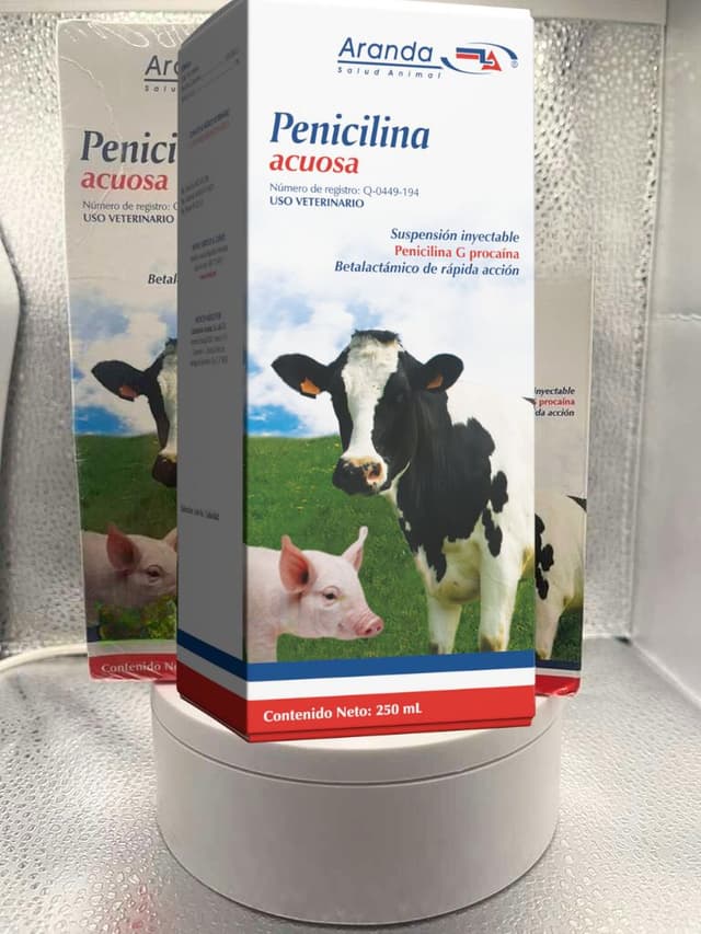 Penicilina Acuosa 250 mL