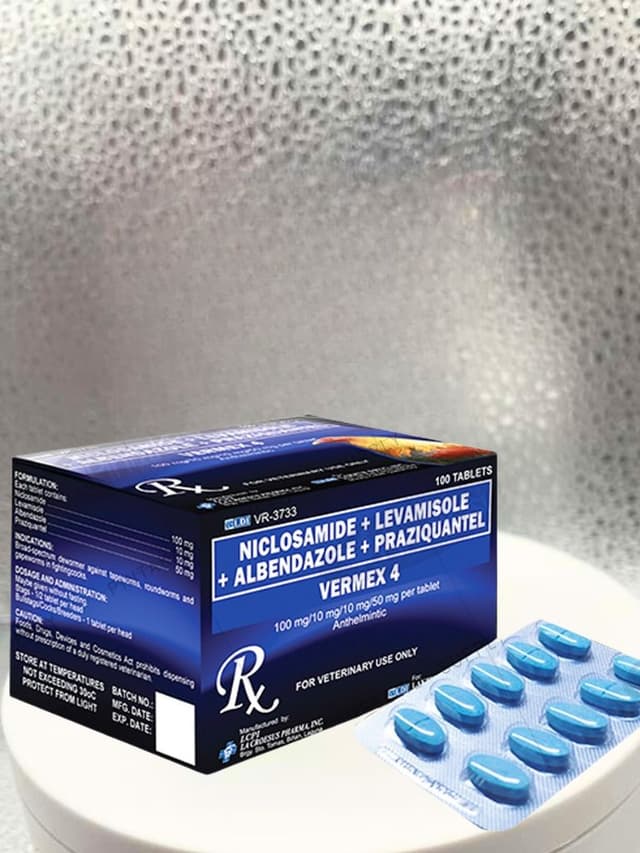 Vermex 4 – 100 Tabletas