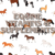 Equine Vitamins & Supplements