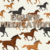 Equine Medication