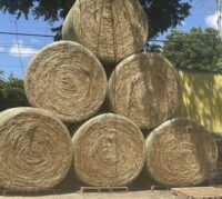 5 by 5 Round Bales